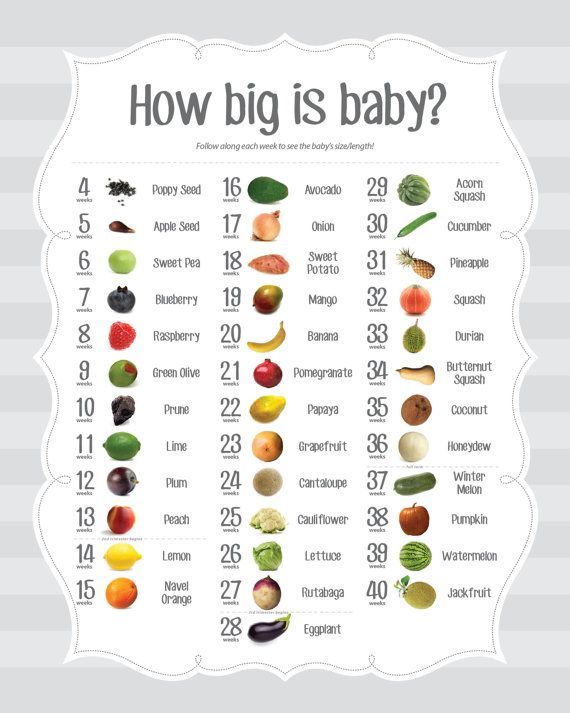 Pregnancy Baby Size Chart Week By Week